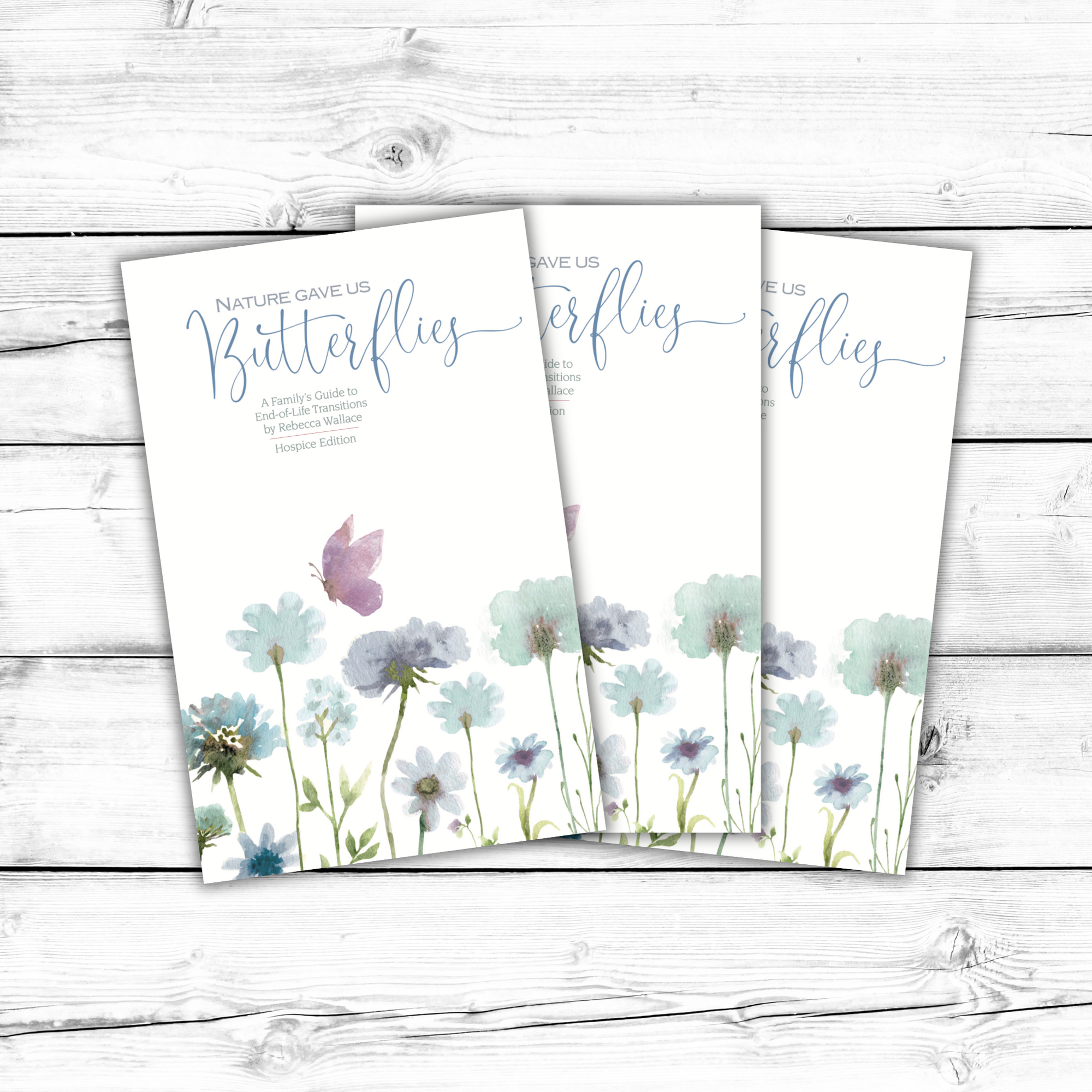 B1001 | Nature Gave Us Butterflies: A Family's Guide to End-of-Life Transitions, Hospice Edition